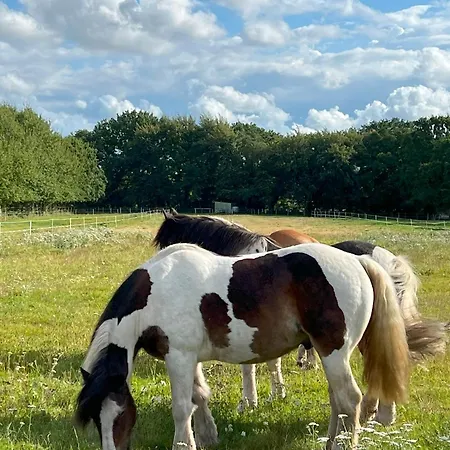 CUXSchwärmer- Große Ferienwohnung für Familien in Cuxhaven-Sahlenburg Cuxhaven