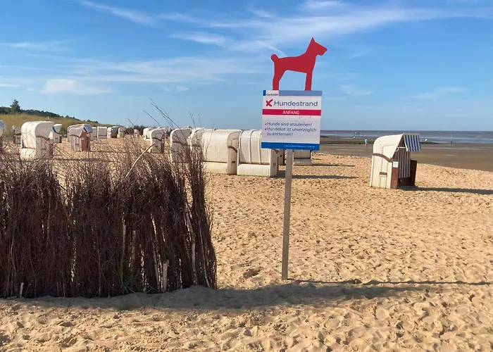 Cuxschwaermer - Komfortabel & Neu Gestaltet Apartment *